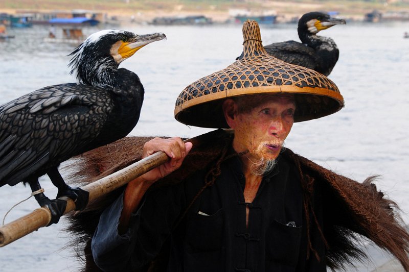 412 - fisherman with cormorants - LAHEYE Freddy - belgium.jpg